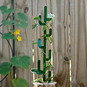 Peut inclure: Un support de plante en métal vert en forme de cactus avec une petite plante dans un pot en plastique transparent. Le support a un design de cactus avec quelques petites fleurs blanches.