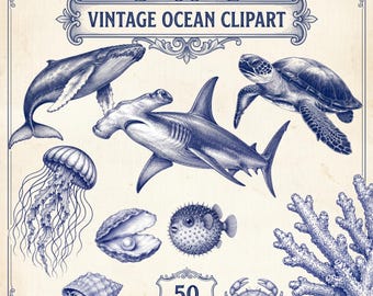 Vintage oceaan clipart 50 png, blauwe nautische png, gravure pakket zeedieren, zeedieren clipart, kust illustratie, oceaandieren