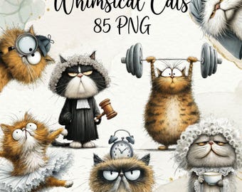 Bundel met grappige grappige katten-illustraties – 85 png