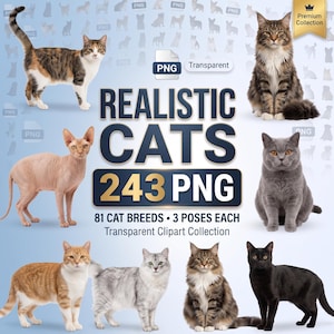 Könnte beinhalten: Eine digitale Sammlung von 243 realistischen Katzenbildern im PNG-Format, die 81 Rassen in je 3 Posen umfasst. Die Grafik zeigt verschiedene Katzen, darunter eine Glückskatze, eine haarlose Sphynx, eine graue Britisch Kurzhaar und eine schwarze Katze.