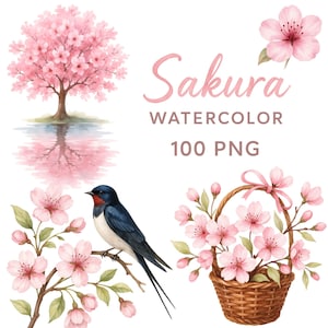 Clipart de acuarela de Sakura: 100 PNG / Paquete de flores de cerezo / Para uso comercial