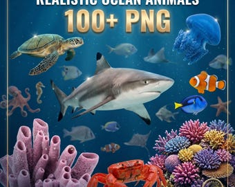 Realistische oceaandieren 100+ PNG-clipart, zeedierenbundel, zeedieren, zeewezens, onderwaterleven, sublimatie PNG