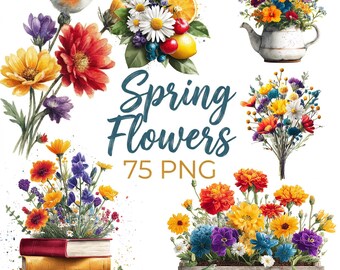 Lentebloemen clipartbundel, 75 png-bloemenillustraties, botanische bloem png, aquarelbloemen, commercieel gebruik
