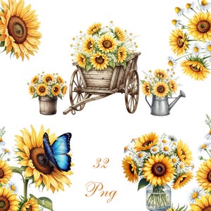 Sonnenblumen und Gänseblümchen Aquarell Clipart - 32 PNG Blumen Illustrationen, Sommer Botanische PNG Set