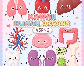 Leuke Kawaii clipartbundel van menselijke organen, 45 PNG-afbeeldingen van anatomie, medische lichaamsdelen, biologie en educatieve clipart voor kinderen