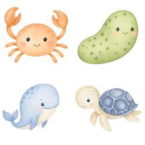 Akvarell undervattens clipart 45 PNG, söta havsdjur PNG, väggkonst för barnrum, babyshowerdekor, valbläckfisk maneter set. Havsdjur bild 3