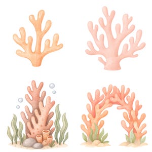 Akvarell undervattens clipart 45 PNG, söta havsdjur PNG, väggkonst för barnrum, babyshowerdekor, valbläckfisk maneter set. Havsdjur bild 9