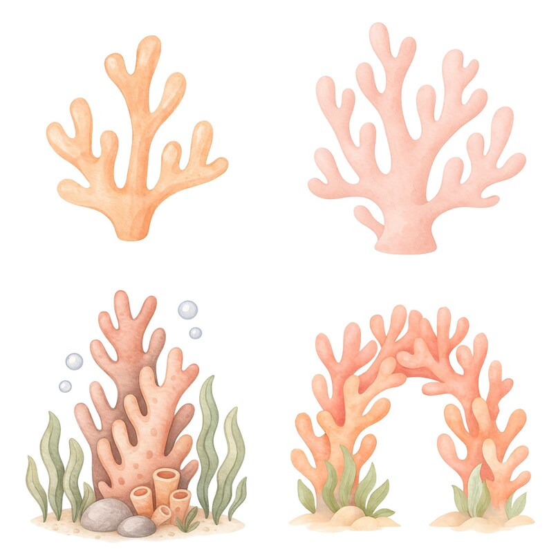 Akvarell undervattens clipart 45 PNG, söta havsdjur PNG, väggkonst för barnrum, babyshowerdekor, valbläckfisk maneter set. Havsdjur bild 9