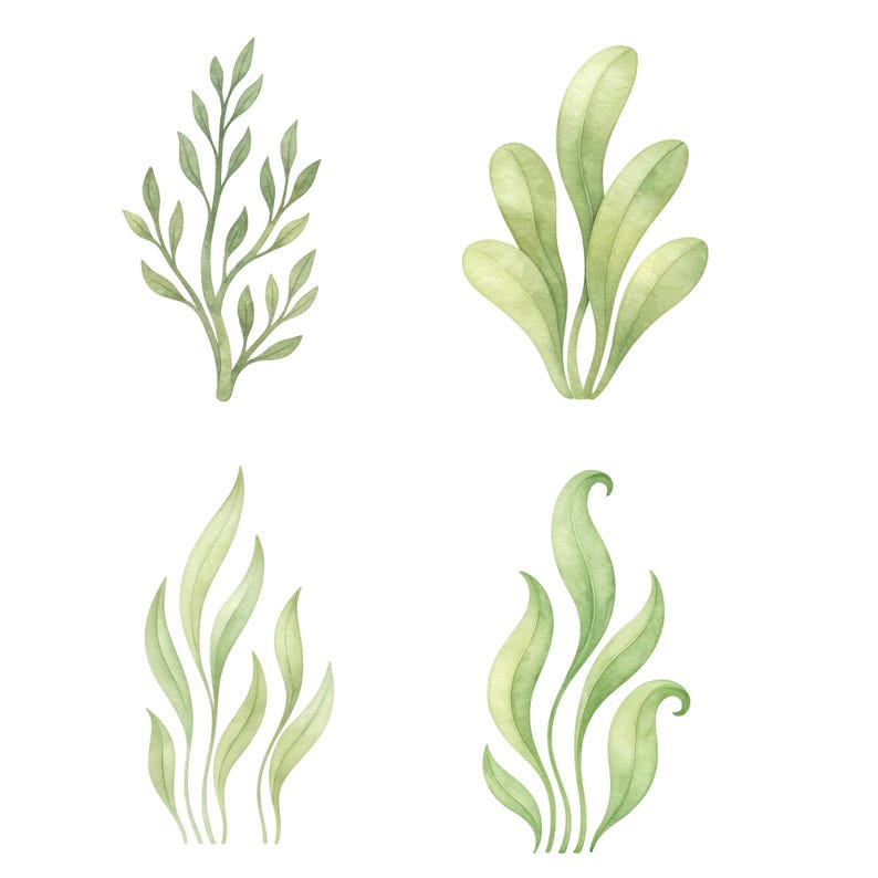 Akvarell undervattens clipart 45 PNG, söta havsdjur PNG, väggkonst för barnrum, babyshowerdekor, valbläckfisk maneter set. Havsdjur bild 10