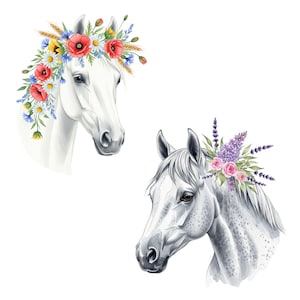 Clipart de Cavalo Floral – 25 PNGs em Aquarela | Cavalos com Coroas de Flores | Conjunto de Arte de Sublimação Animal | Uso Comercial
