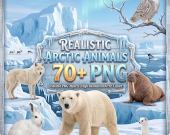 Realistische Arctische dieren (meer dan 70 PNG-clipart), pooldierenbundel, Arctische dieren, winternatuur, vogels, zeedieren en sublimatie-PNG