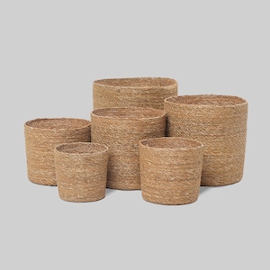 May include: A collection of five cylindrical baskets crafted from natural woven seagrass fibres. Each basket features a consistent tan colour and a textured, braided surface. The set includes varying sizes of open-top containers arranged together.