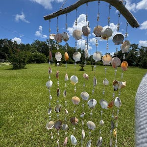 Peut inclure: Un carillon éolien artisanal en coquillages. Il est composé d'une branche de bois flotté incurvée, supportant plusieurs brins de coquillages et de perles transparentes. Les coquillages sont de formes et de couleurs variées, dont blanc, beige et orange. Le fond montre une pelouse verte et un ciel bleu.