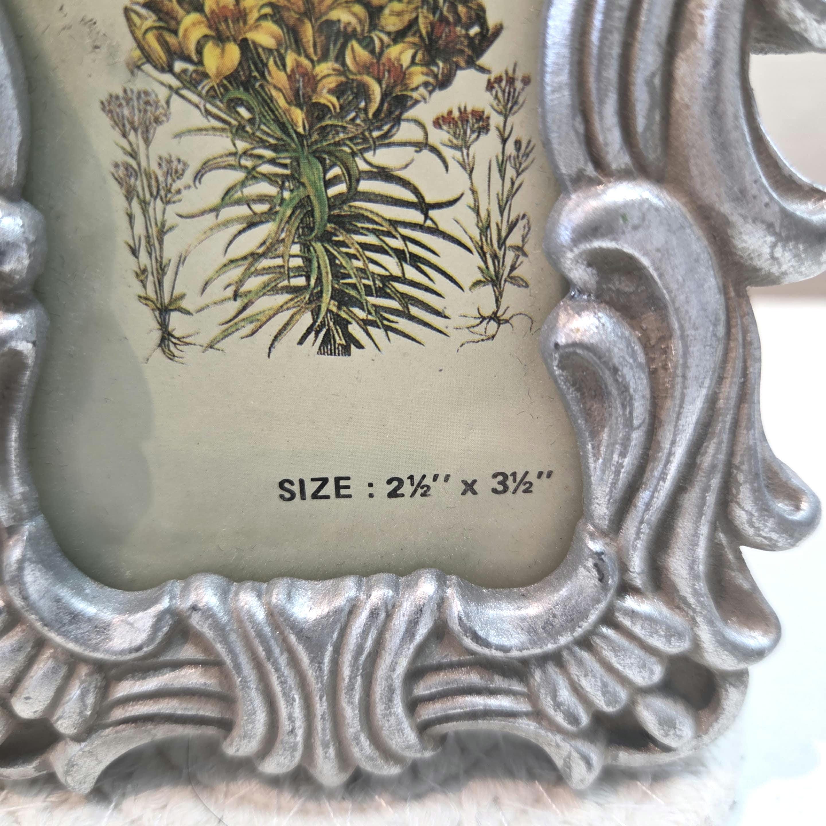 Vintage Whimsy Y2K Mini Frame | Ornate Silver Scrollwork | Fits