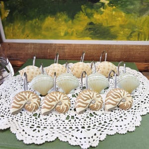 May include: A collection of shower curtain hooks with seashell designs. The hooks showcase various shell shapes, such as nautilus and scallop shells, in beige, cream, and brown hues. The hooks are made of metal and are designed for hanging a shower curtain.
