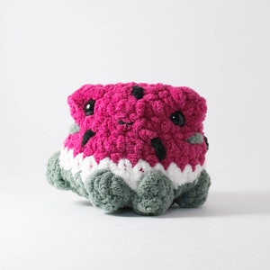 Crochet Watermelon Frog | Small Handmade Plushie
