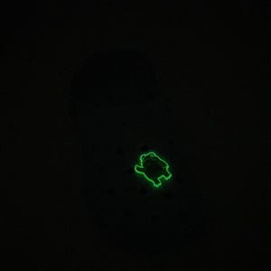 Glow in the Dark Frog Shoe Charm Accessory for Clog Sandals
