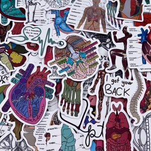 May include: A collection of colorful stickers featuring anatomical illustrations of the human body. The stickers depict the heart, brain, lungs, and skeletal system. Some stickers have text, including "I got your BACK" and "It's a beautiful day to save lives."