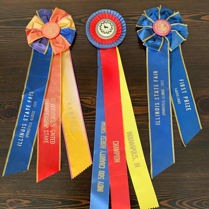 Horse Show Ribbons - Etsy