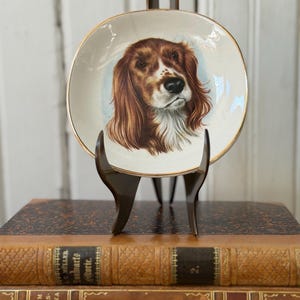 May include: A decorative plate featuring a detailed portrait of a spaniel dog with brown and white fur. The plate has a gold rim and is displayed on a dark brown stand. The background is a light blue hue.