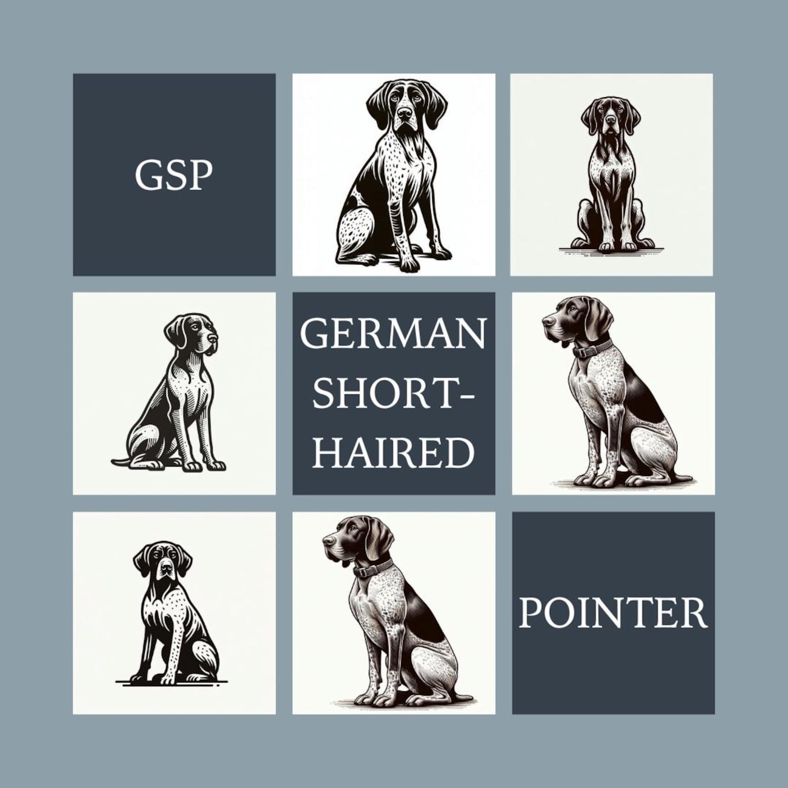 German Short-haired Pointer Line Drawing Clipart, GSP Line Drawing ...