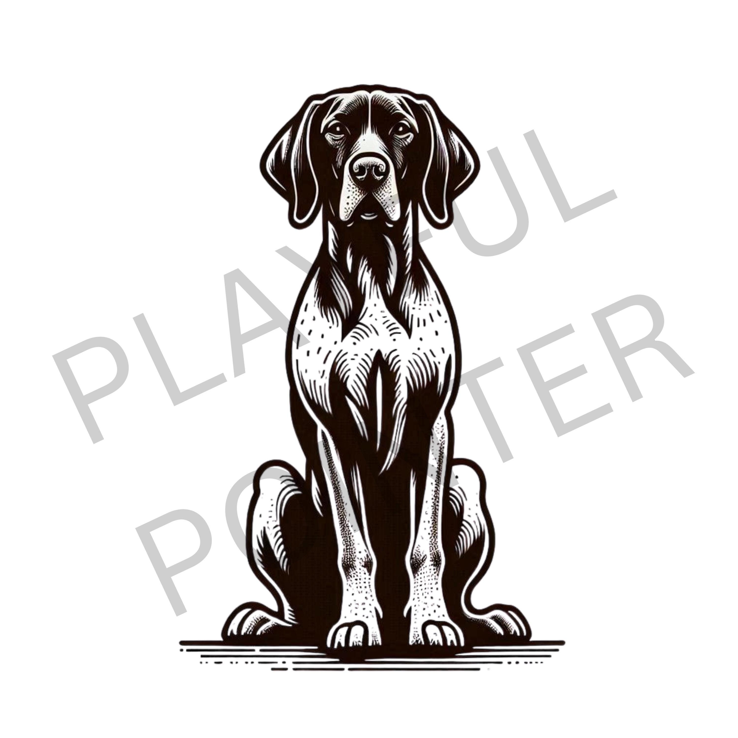 German Short-haired Pointer Line Drawing Clipart, GSP Line Drawing ...
