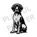 German Short-haired Pointer Line Drawing Clipart, GSP Line Drawing ...