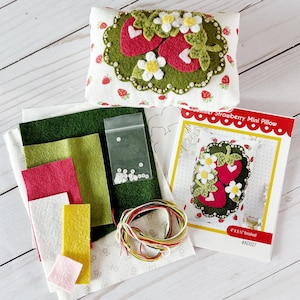 Summer Strawberry Mini Pillow Kit WITH Pattern for felt applique. Beginner friendly hand sewing.