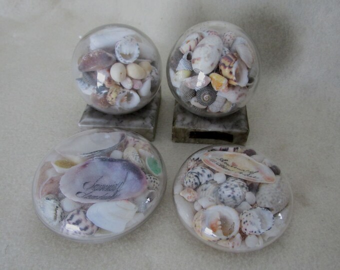 Antique Sea Shell Paperweights Nautical Sailor Art Souvenirs Etsy