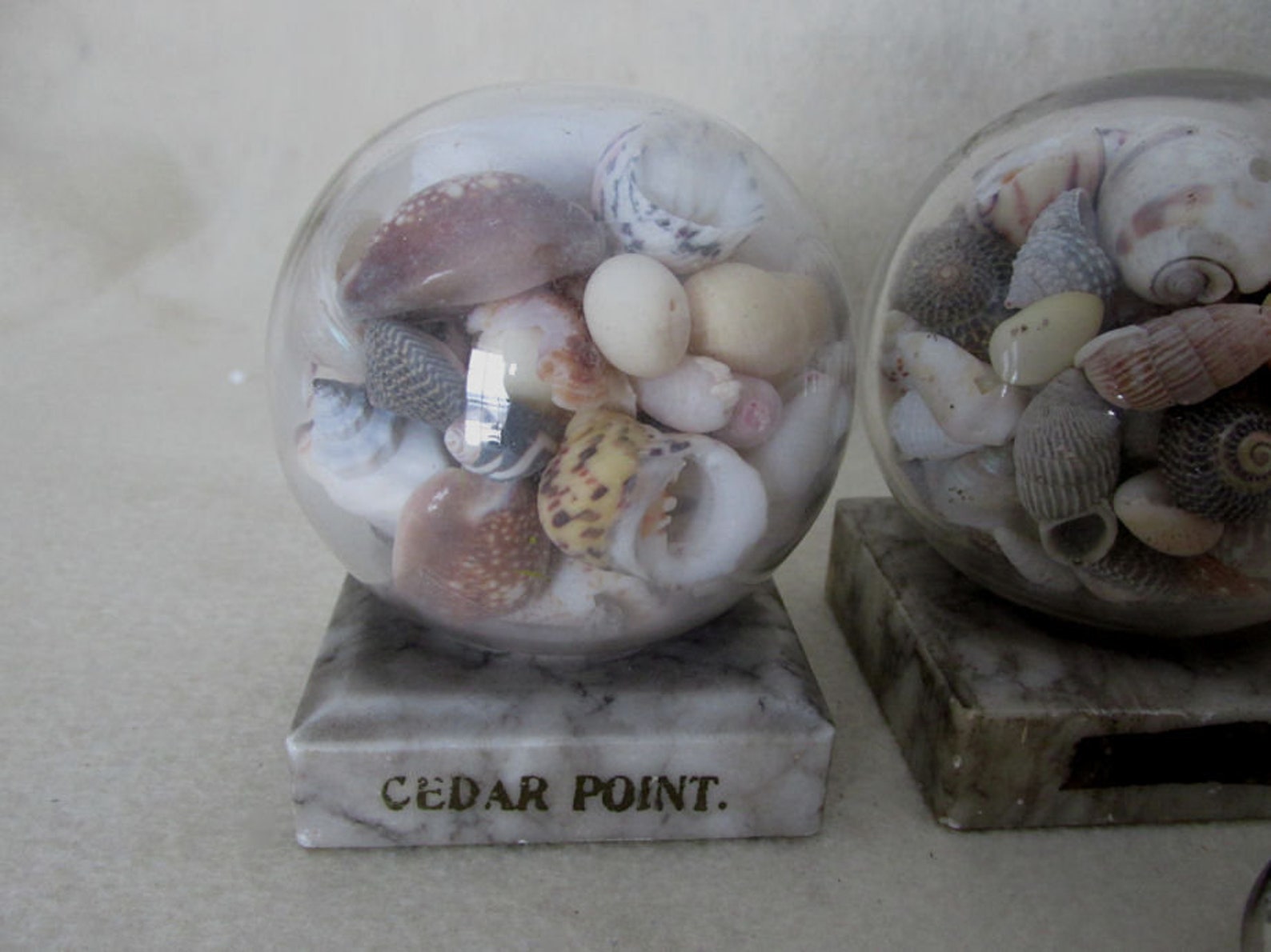 Antique Sea Shell Paperweights Nautical Sailor Art Souvenirs Etsy