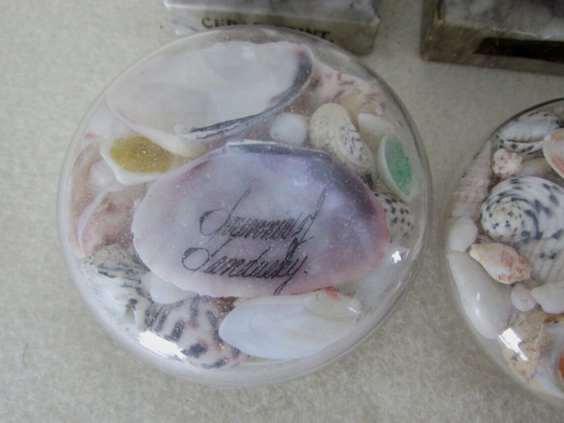 Antique Sea Shell Paperweights Nautical Sailor Art Souvenirs Etsy