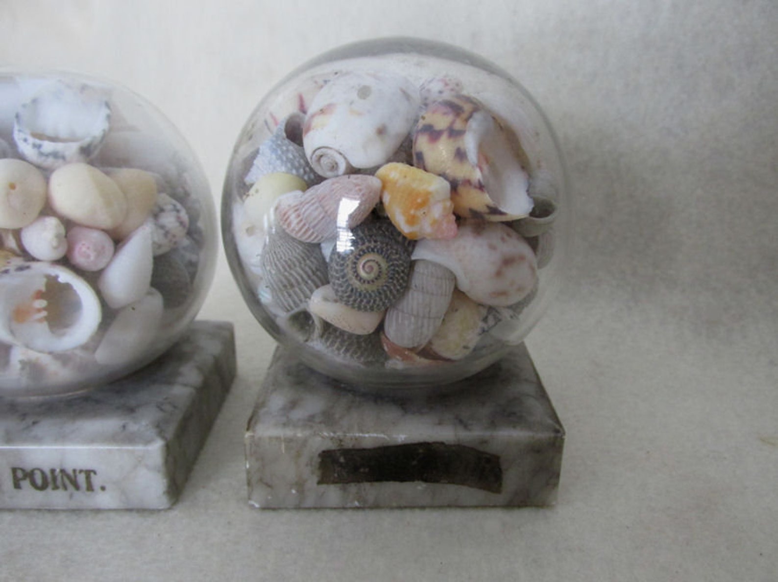 Antique Sea Shell Paperweights Nautical Sailor Art Souvenirs Etsy