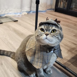 Mom cat costume hot sale