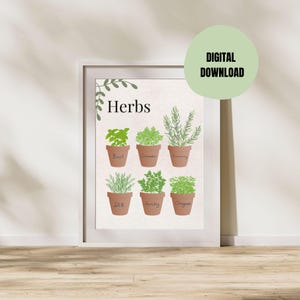 May include: A printable wall art print featuring a white background with the word "Herbs" in black text. Six different herbs are illustrated in pots, including basil, coriander, rosemary, dill, parsley, and oregano.