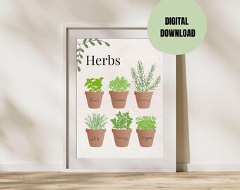 Herbs, Kitchen Printings, Herbalistic Botanical Prints, Rosemary, Basil, Parsley, Herbs in Pots, Kitchen Decor, Wall Art Decor, Digital