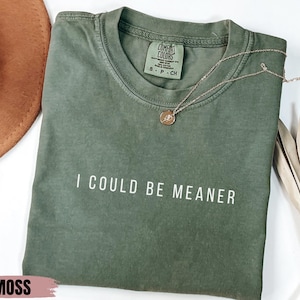 Comfort Colors® I Could Be Meaner Tee, Spicy Attitude Shirt,  Confident and Funny Apparel, Perfect Gift for Nice People, Trend Tee Gift