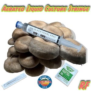 Organic Black Pearl King Aerated Liquid Culture Syringe Kit (Pleurotus spp.)