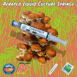 Organic Chestnut Aerated Liquid Culture Syringe Kit (Pholiota adiposa)