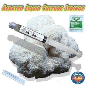 Kit de seringues de culture liquide aérée crinière de lion bio (Hericium Erinaceus)