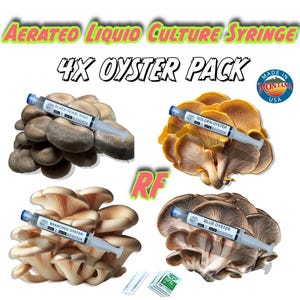 Organic 4x Oyster Mushroom Bundle Aerated Liquid Culture Syringe Kit