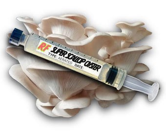 Organic Super Scallop Oyster Aerated Liquid Culture Syringe Kit (Pleurotus ostreatus)