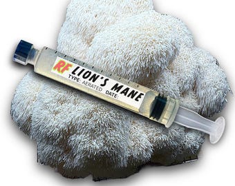Organic Lion's Mane Aerated Liquid Culture Syringe Kit (Hericium Erinaceus)