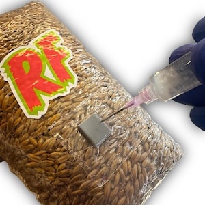 Beimpfte / Besiedelte Körnerbruttasche 3 Kilo (Wählen Sie Ihre Sorte)