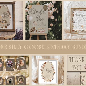 Lot de fête du premier anniversaire One Silly Goose vintage, bannière d'étape mensuelle, panneau de bienvenue, panneaux de faits sur la première année, carte de remerciement, décoration