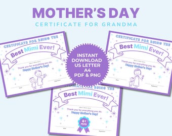 Best Mimi Award Certificate Mother's Day Gift For Grandma Printable Certificate Template PDF Download Mother's Day Award Kid's Activity
