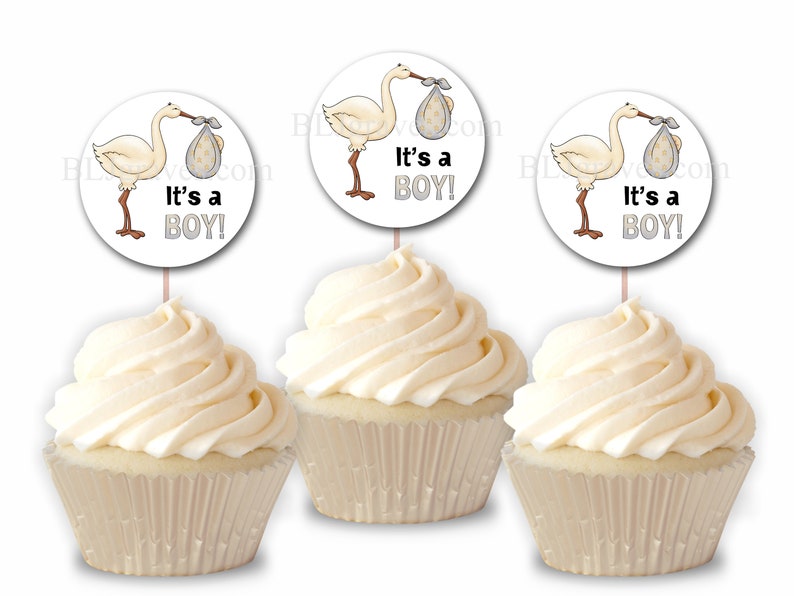 Stork Baby Girl Baby Shower Cupcake Decorating Kit Baking Cups and Picks for 24