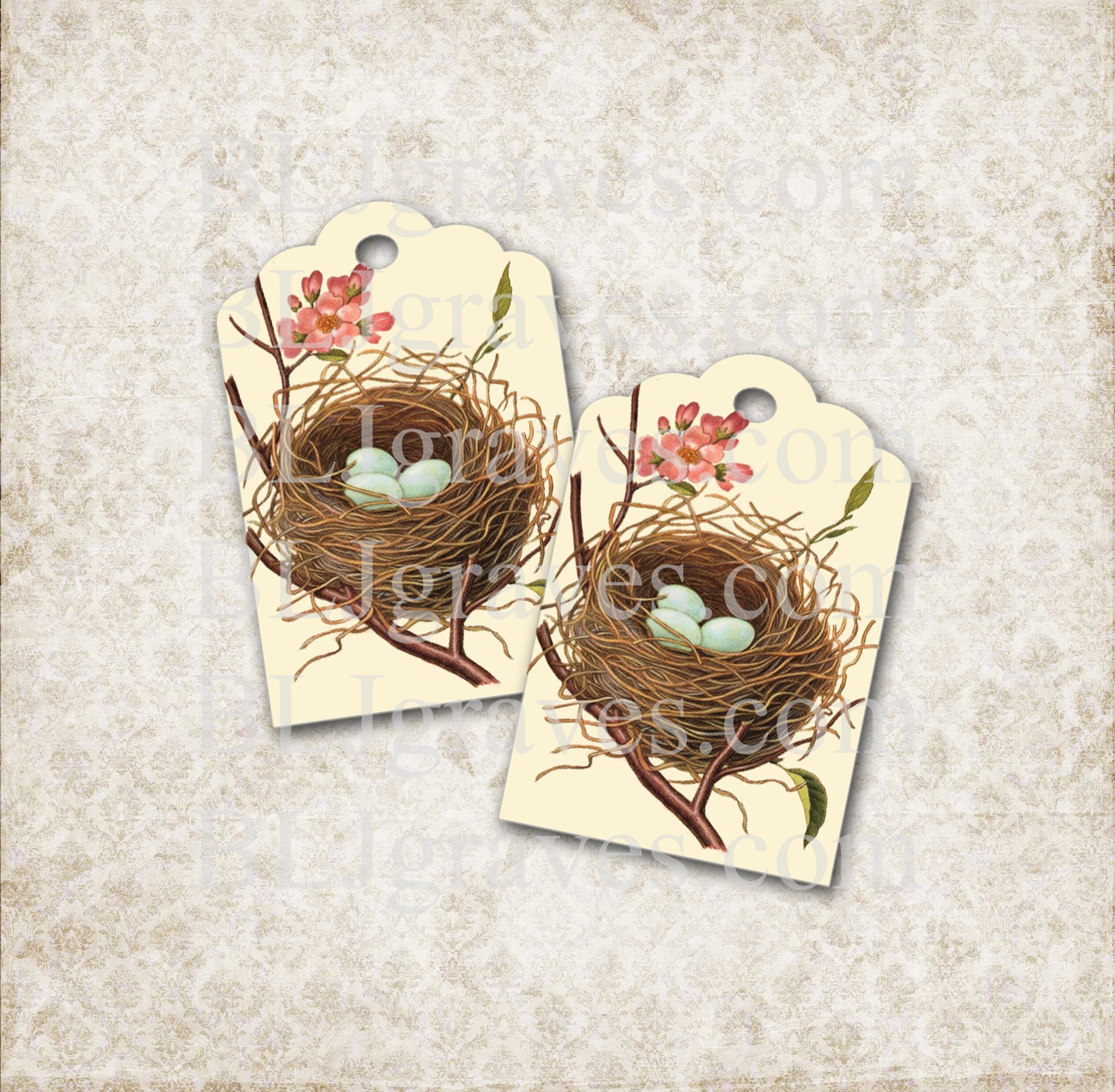 Tags Vintage Bird Nest Eggs Gift Tags Price Tags Wedding Wish Etsy
