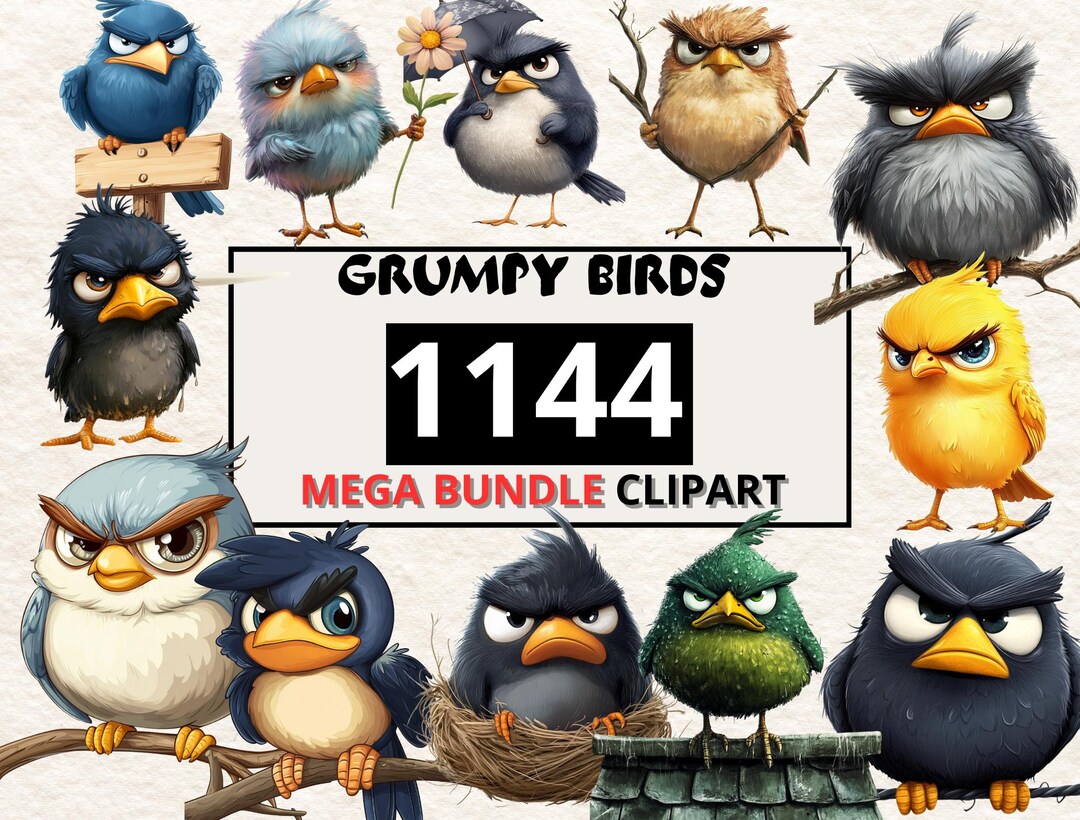 1144 Grumpy Birds Clipart Bundle Funny & Moody Bird Illustrations ...