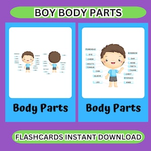Cartes d'apprentissage sur les parties du corps des garçons pour enfants - Carte d'apprentissage des parties du corps pour les enfants - Cartes d'apprentissage des parties du corps pour les enfants en bas âge