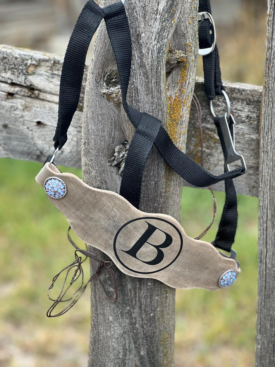 Photo Halter Custom Horse Halter - Etsy